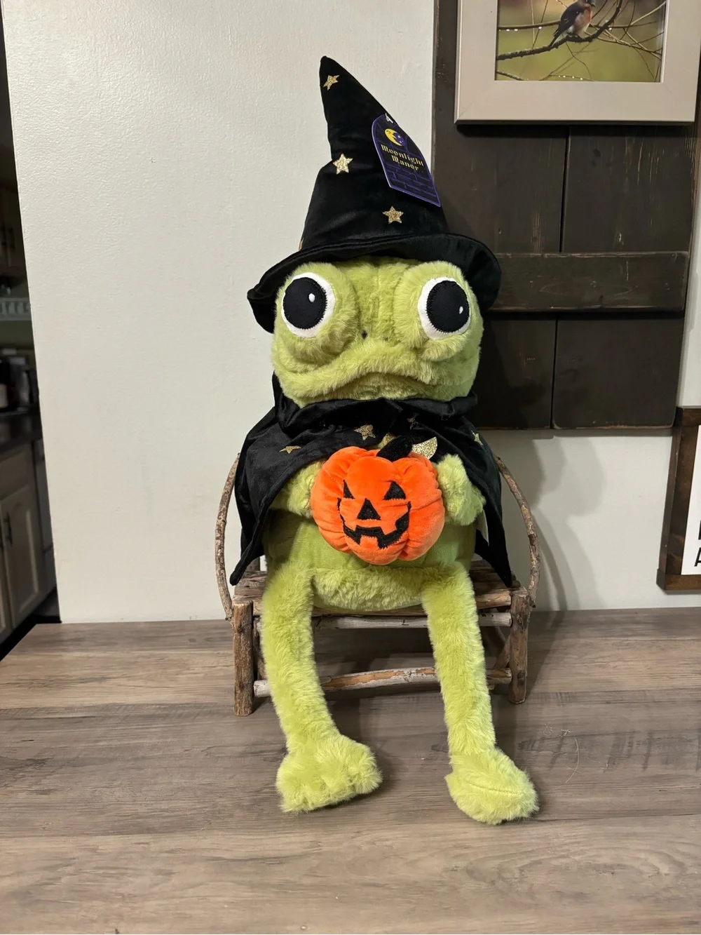 NEW VIRAL MOONLIGHT MANOR WIZARD FROG